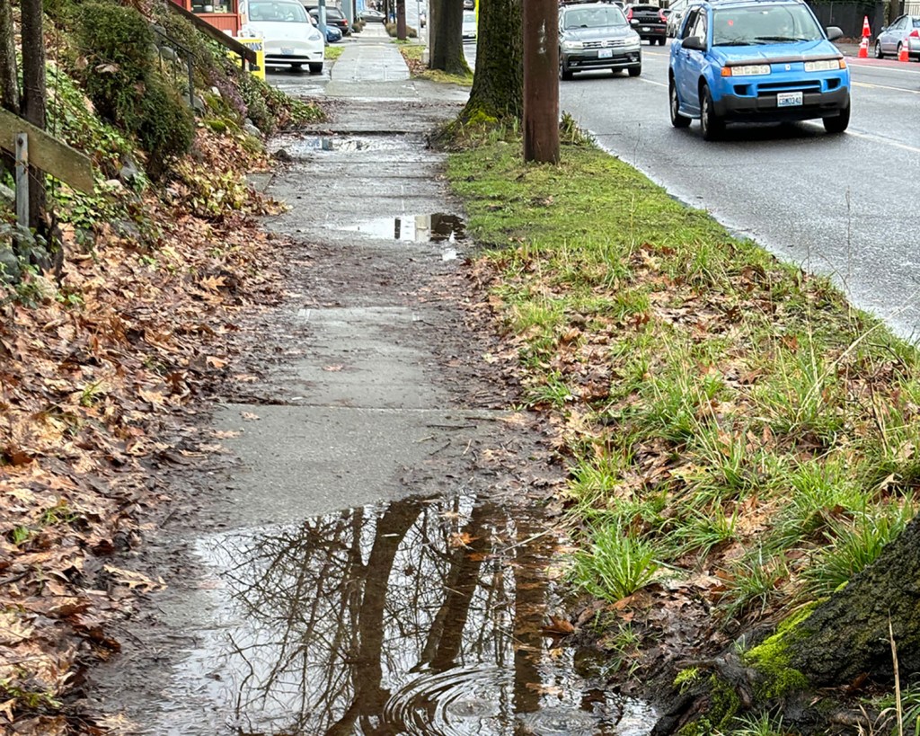 Muddy sidewalk with puddles and uplifts